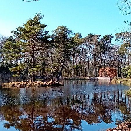B&B Stripsein Wijnjewoude Dış mekan fotoğraf
